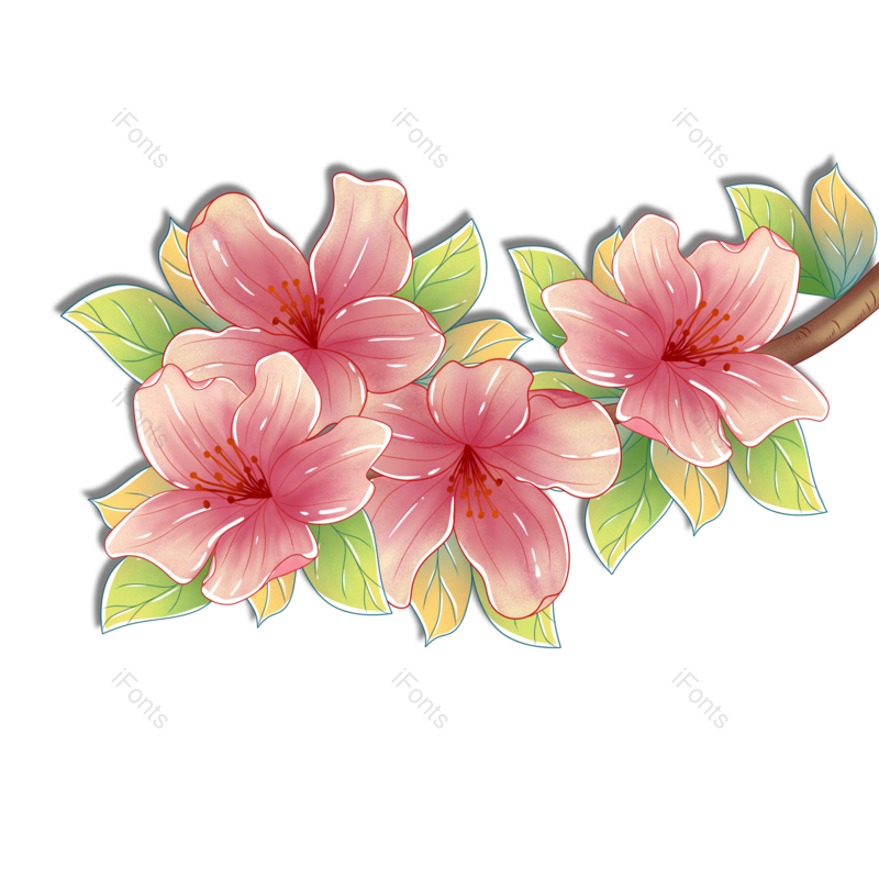 花朵图片,植物元素,手绘PNG,粉色免抠素材
